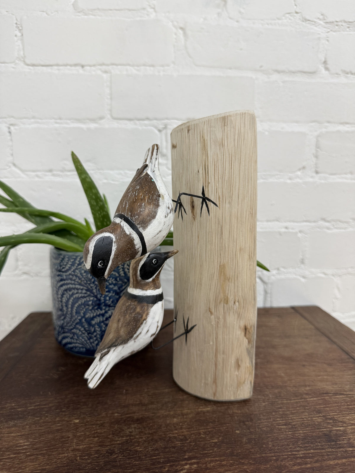 Two Birds on Log