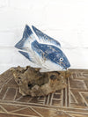 Fish on Driftwood