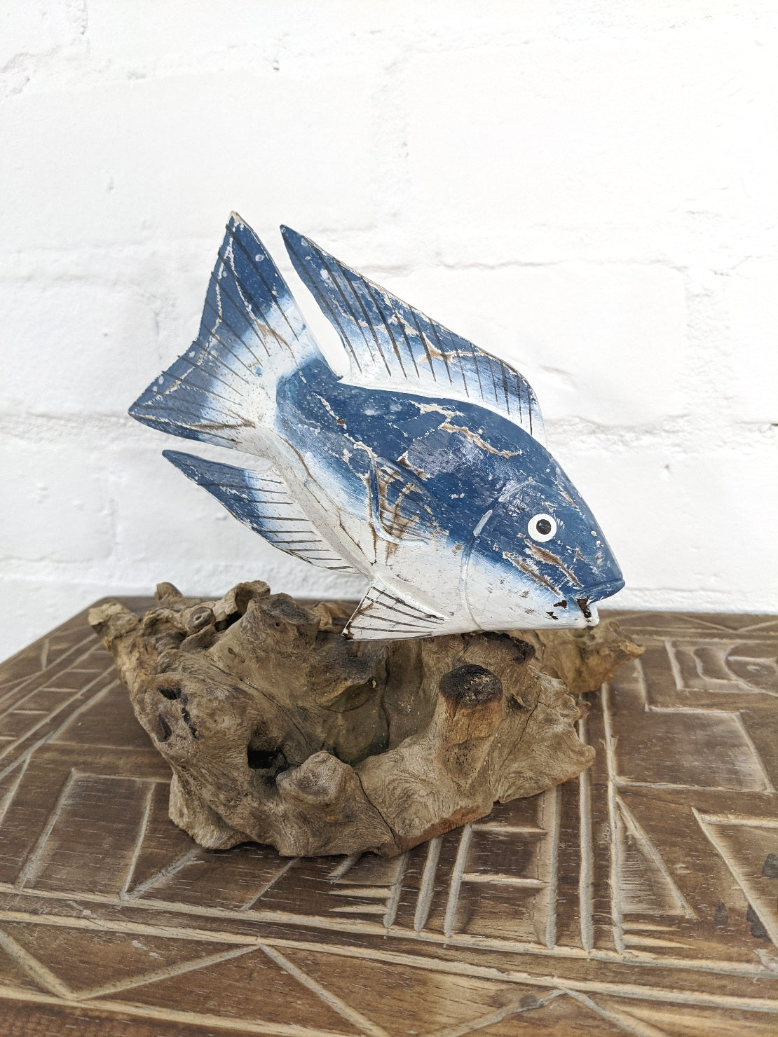 Fish on Driftwood