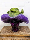 Felt Flower Leaf Hat