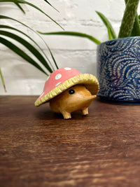 Mushroom Hedgehog