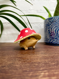 Mushroom Hedgehog