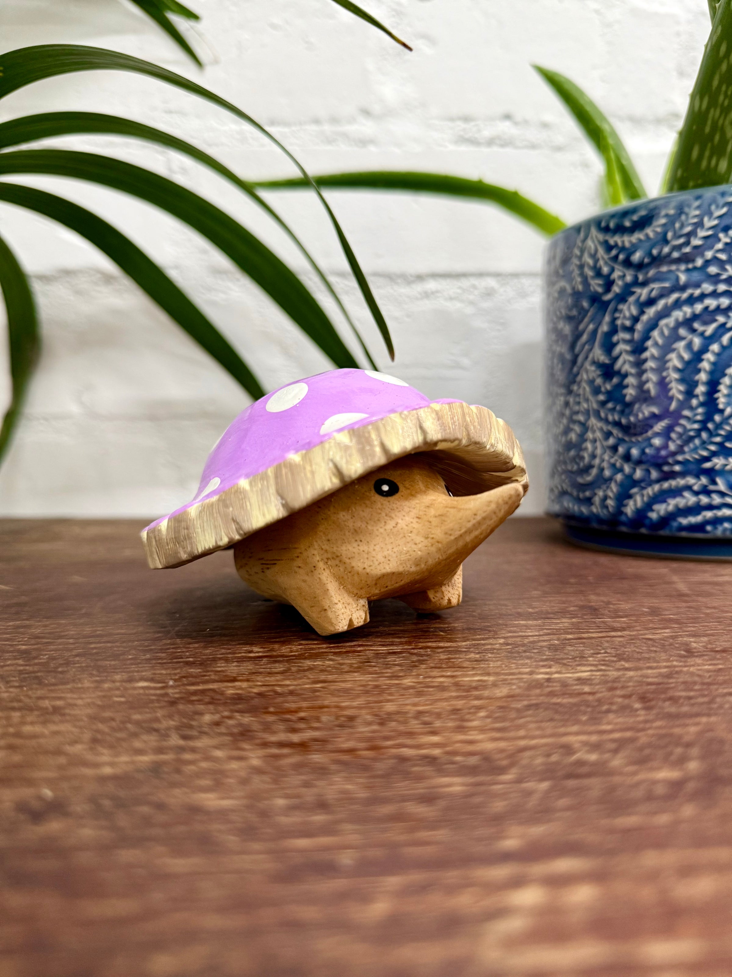 Mushroom Hedgehog
