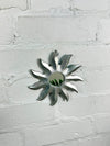 Silver Sun Mirror