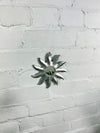 Silver Sun Mirror