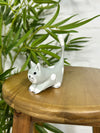 Sitting Cat