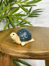 Happy Turtle