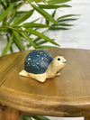 Happy Turtle