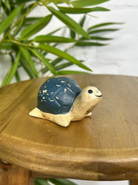Happy Turtle