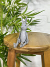 Rabbit Shelf Sitter