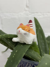 Giving Paw Ginger Cat