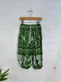 Elephant Harems