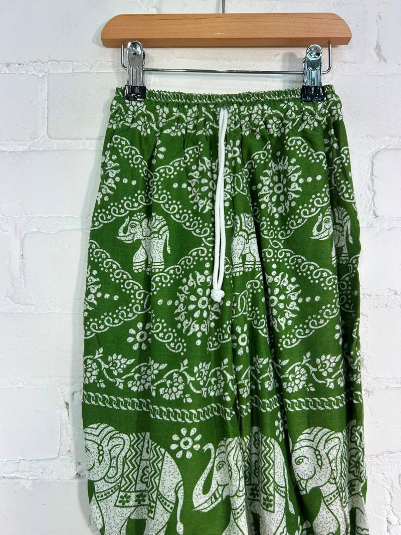 Elephant Harems