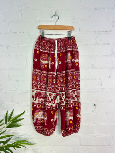Kids Elephant Hare Trousers