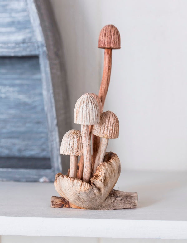 5 Mushroom Tree