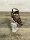 Brown Wooden Owl