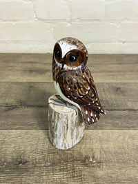 Brown Wooden Owl