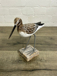 Wooden Sandpiper