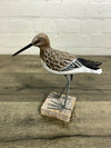 Wooden Sandpiper