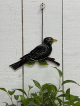 Blackbird Suncatcher