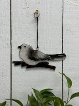 Grey Bird Suncatcher