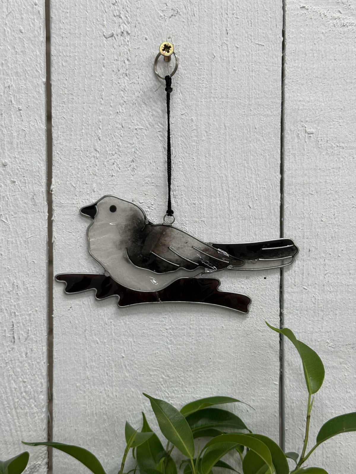 Grey Bird Suncatcher