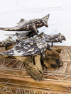 Five Stingrays On Driftwood