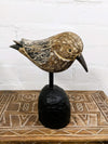 Bird On Wood Black