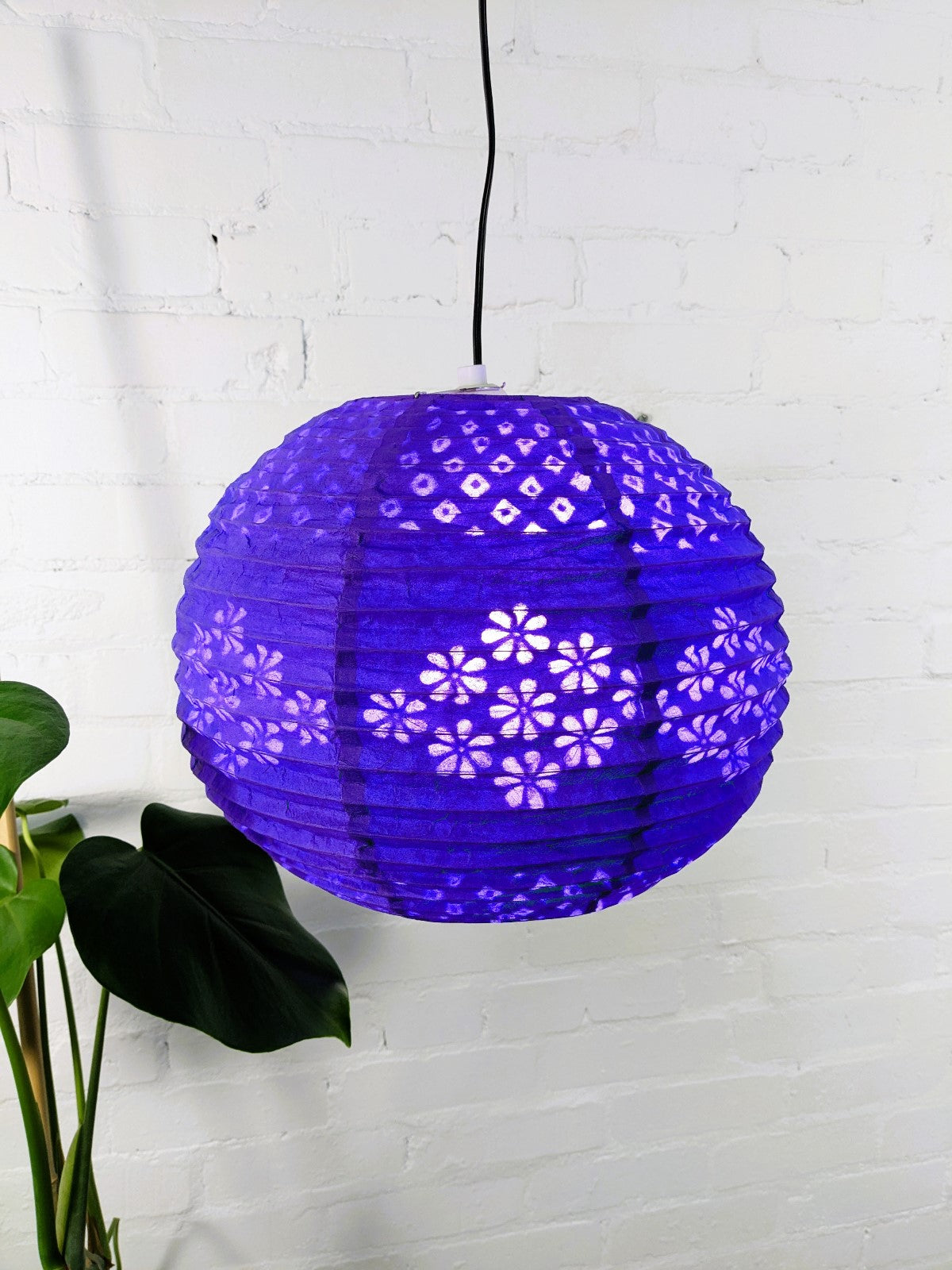 Assorted Paper Lantern Plain