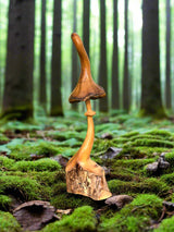 Large Mushroom