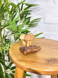 Small Mushrooms