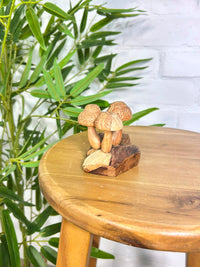Small Mushrooms
