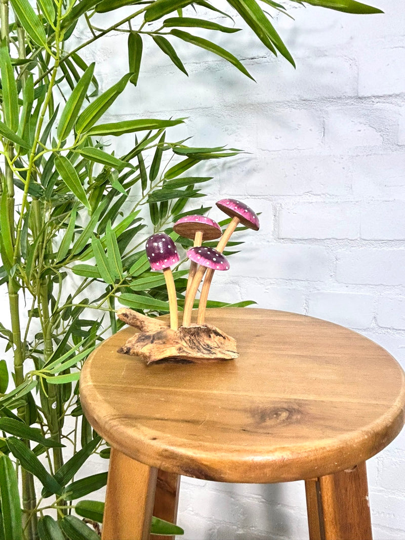 Purple Spotty Mushrooms