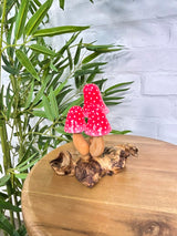 Red Spotty Toadstools