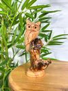 Owl on Log