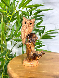 Owl on Log