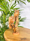Pair Of Owls on Log