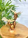 Dragonflies on Log