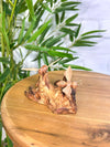 Bees on Wood