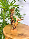 Dragonflies on Log