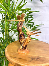 Dragonflies on Log