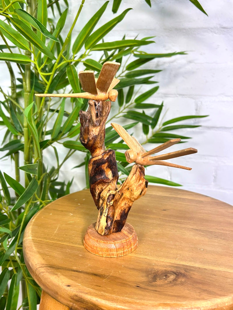 Dragonflies on Log