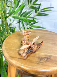 Bees on Wood