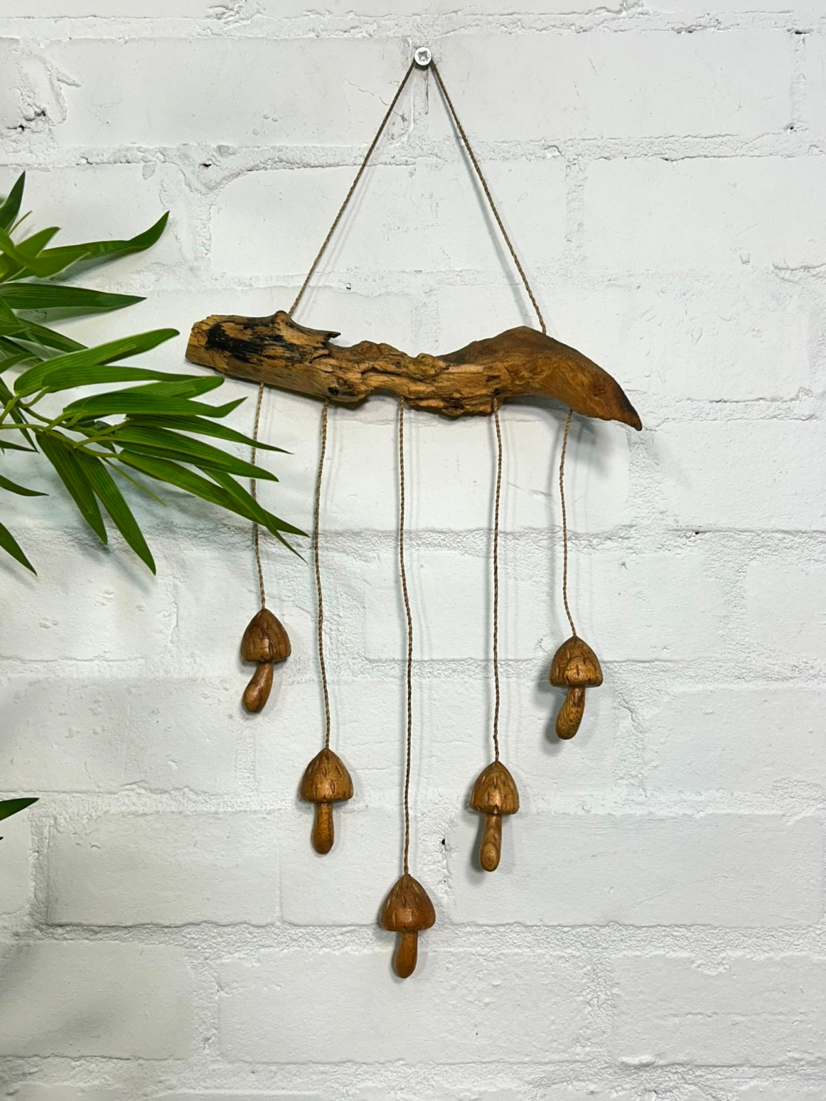 Mushrooms Hanging from Branch