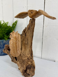 Two Owls & Mushrooms on Natural Wood