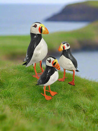 Puffin