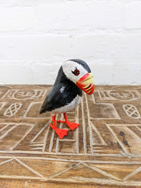 Puffin