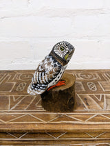 Owl on Wood