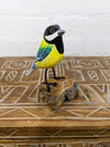Blue Tit on Wood