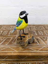 Blue Tit on Wood